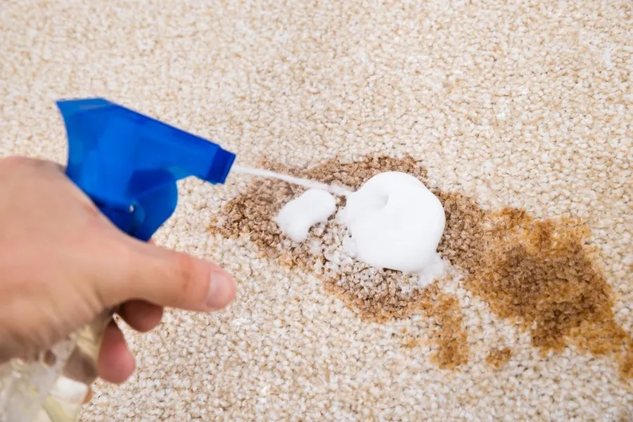 Pet Stain Removal Service